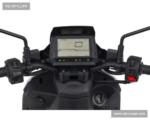 SPEEDFIGHT 4+ _ “暗夜骑士”觉醒